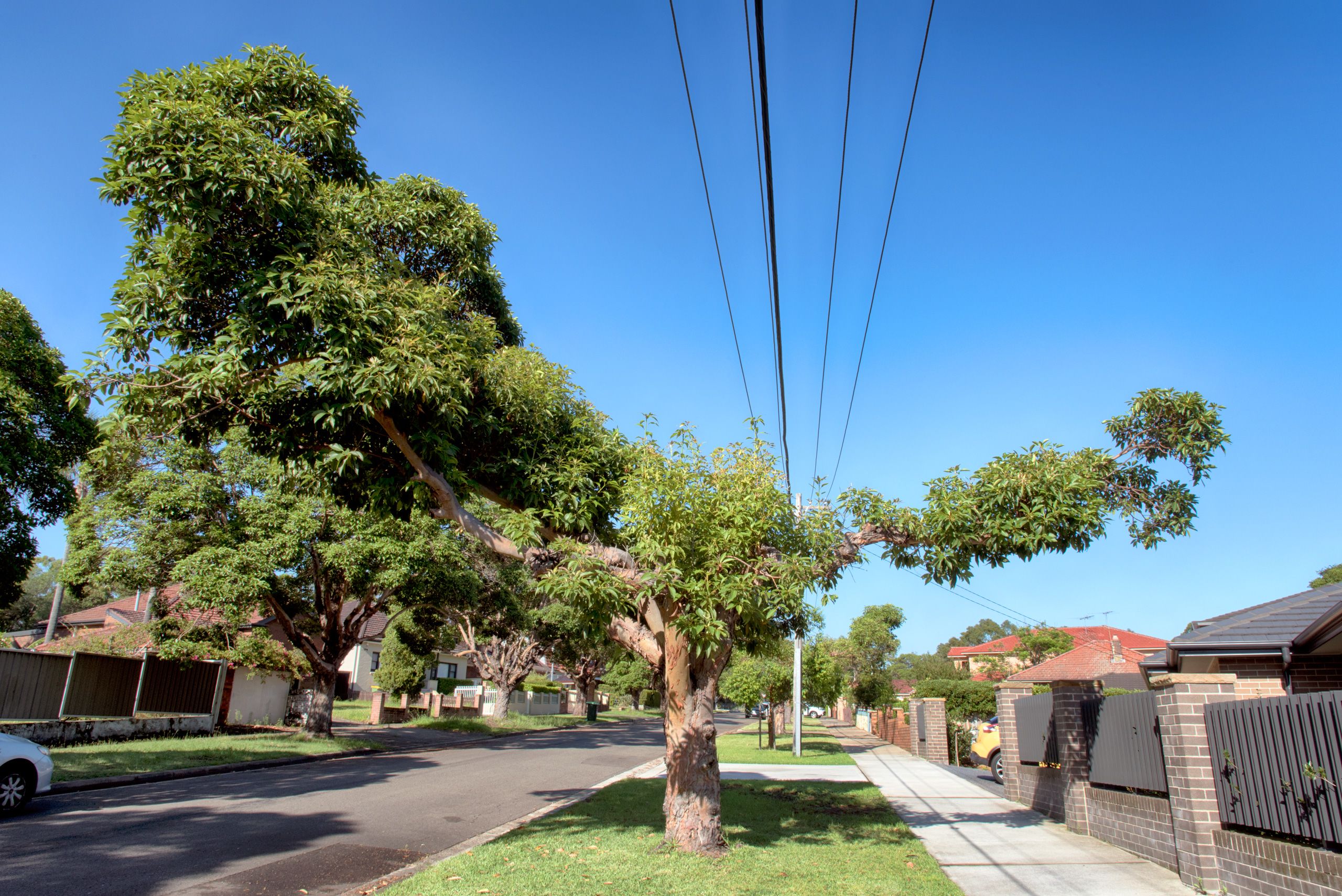 Dark Opera House foyers, with stone wall covering most of the image, and steps on the right hand side. Sunlight partially hits the stairs.