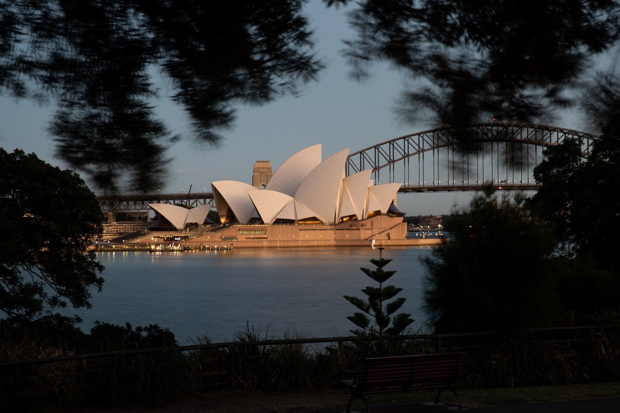 Opera House and Harbour Bridge framed by trees in the botanical garden